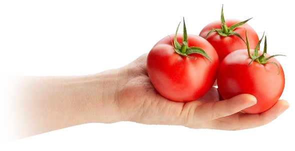 background main avec des tomates